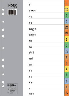 ชุดดัชนีพลาสติก เบนน่อน No.IX916T ก-ฮ/16 หยัก คละสี