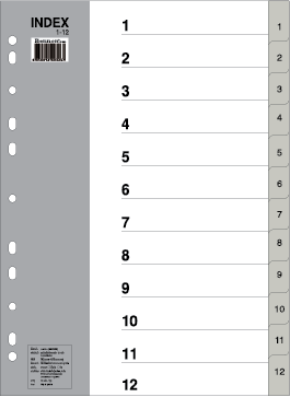ชุดดัชนีพลาสติก เบนน่อน No.IX894 เดือน 1-12/12 หยัก สีเทา